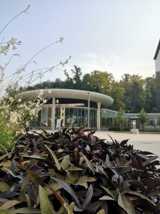 Apartments Soelek - Vila Golf Rogaška Slatina Eksteriør billede